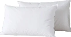 Home Collection Oreillers^2 Oreillers en Plumes blancs