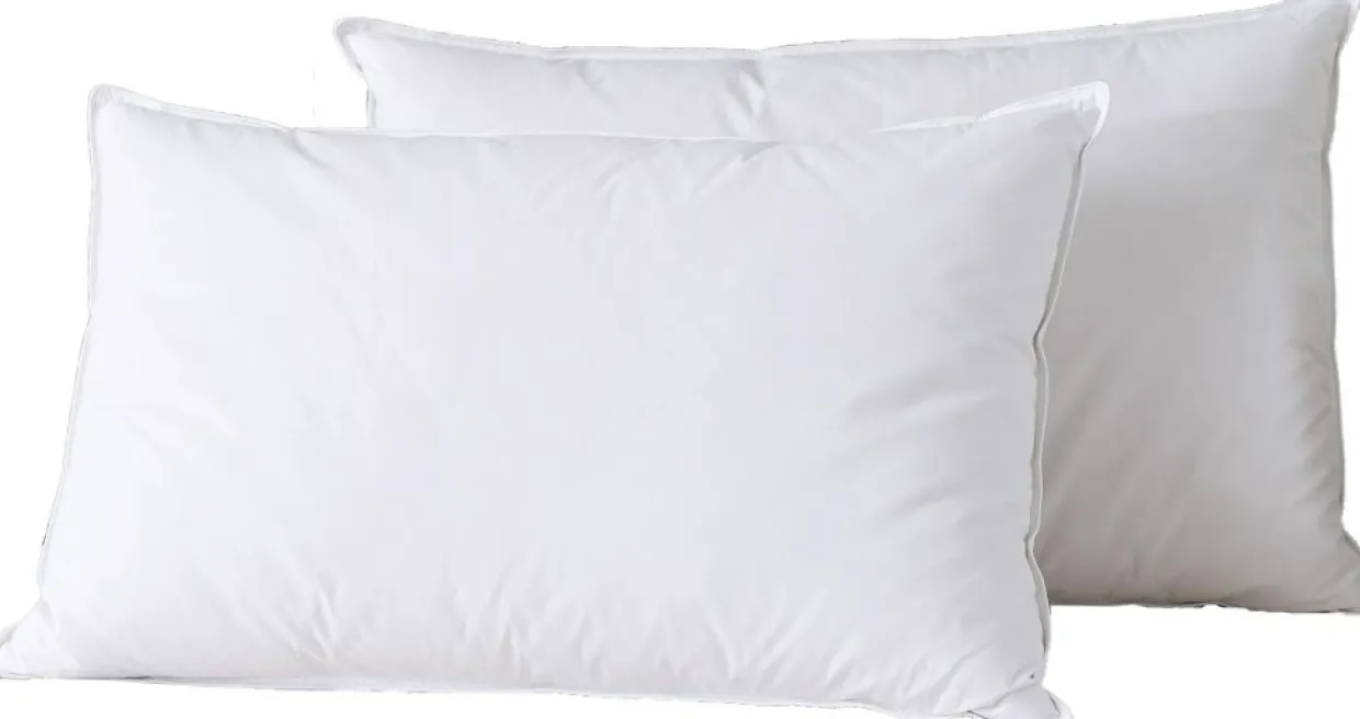 Home Collection Oreillers^2 Oreillers en Plumes blancs