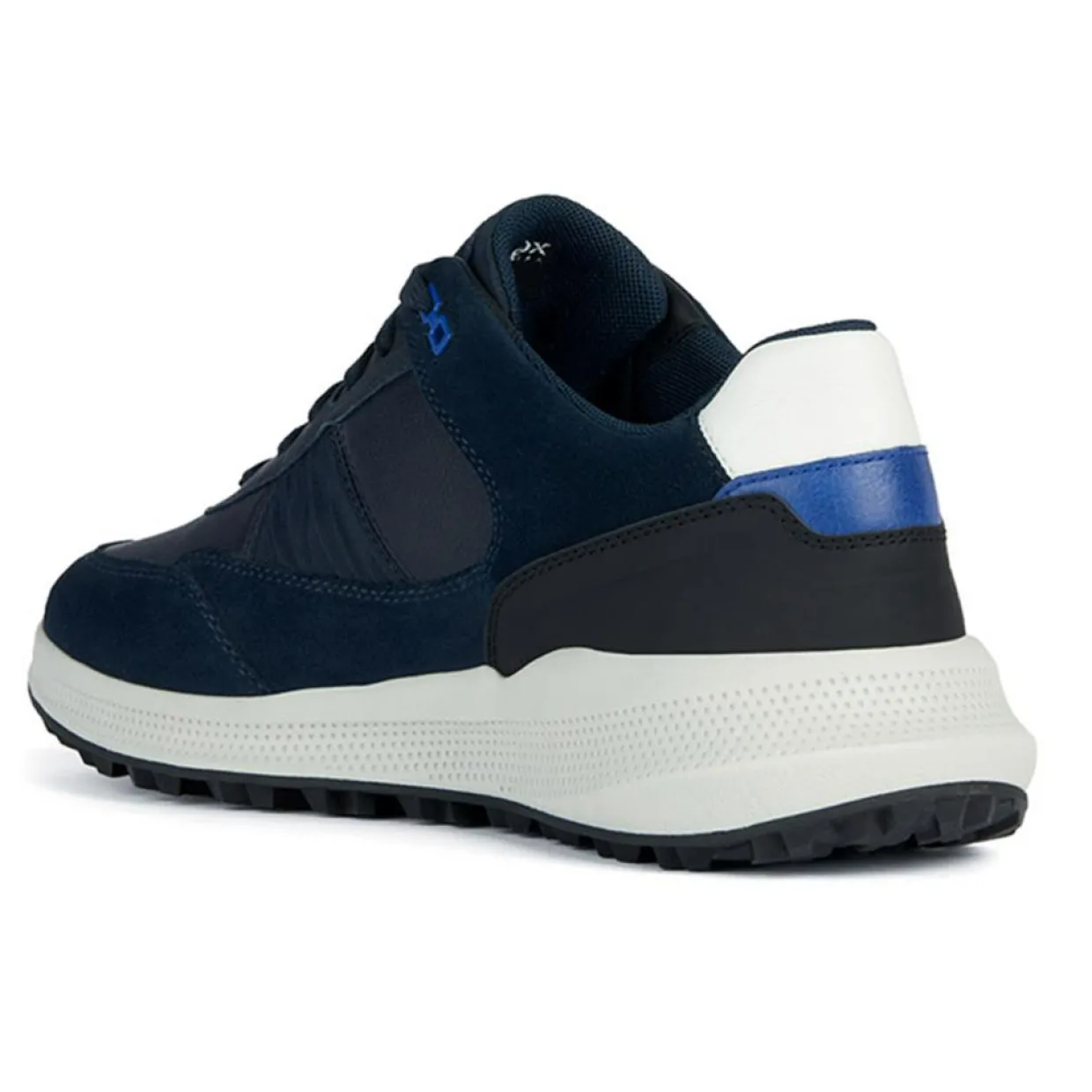 Homme Geox Baskets^Baskets bleu marine