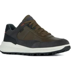 Homme Geox Baskets^Baskets kaki