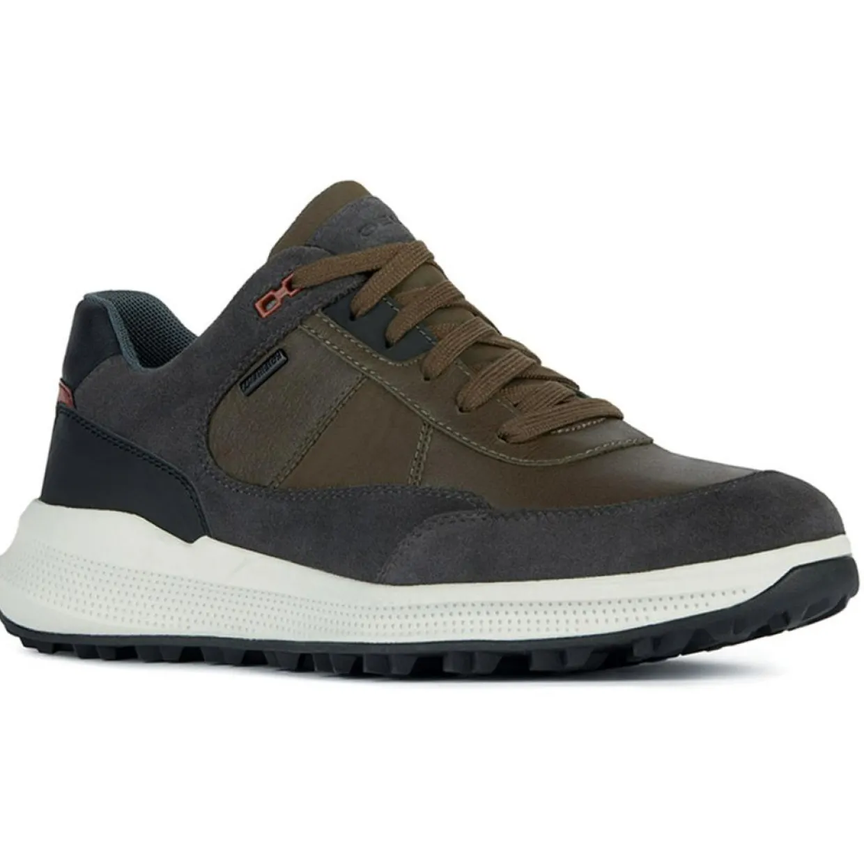 Homme Geox Baskets^Baskets kaki