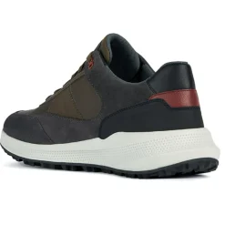 Homme Geox Baskets^Baskets kaki