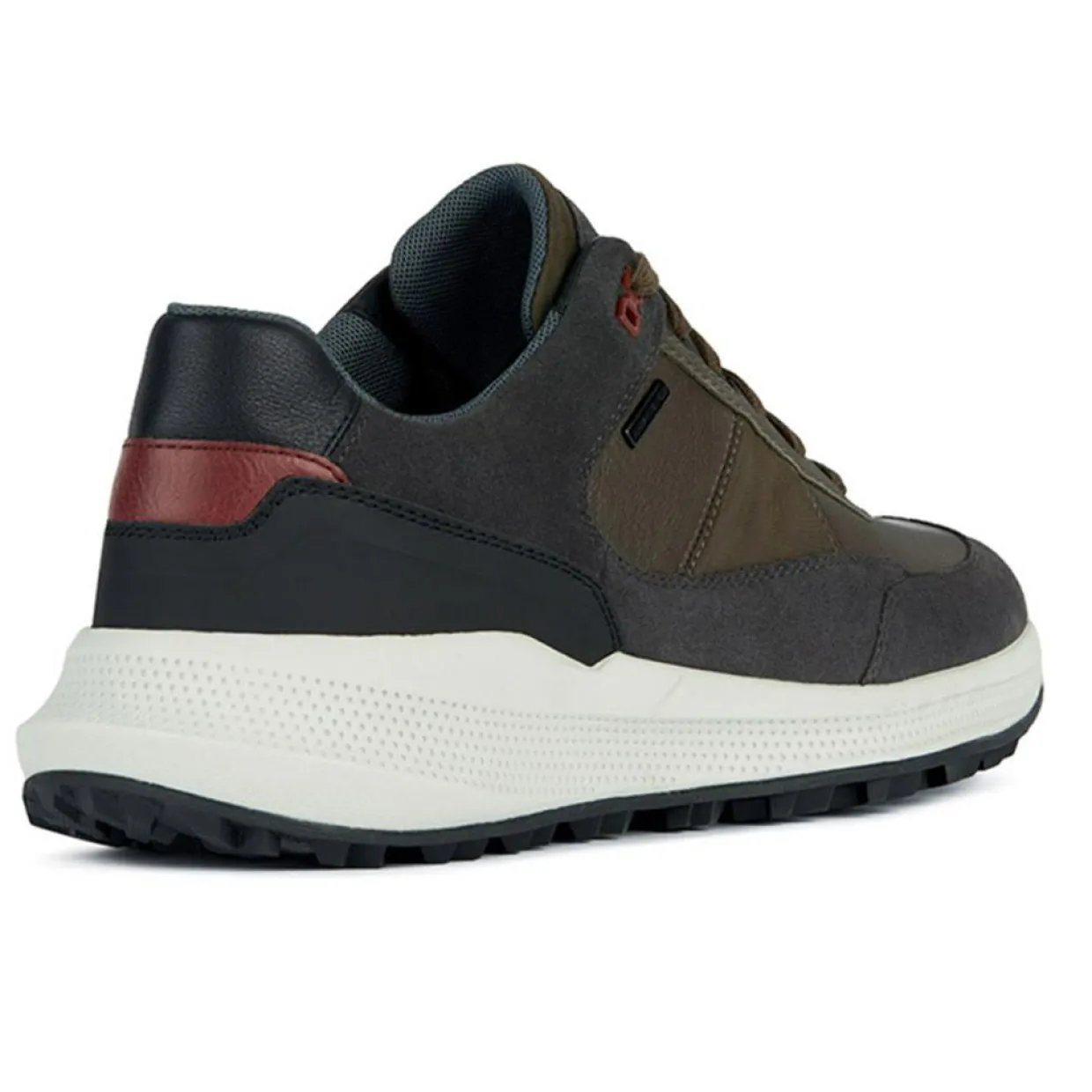 Homme Geox Baskets^Baskets kaki