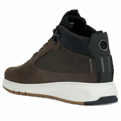 Homme Geox Baskets^Baskets Aerantis marron foncé