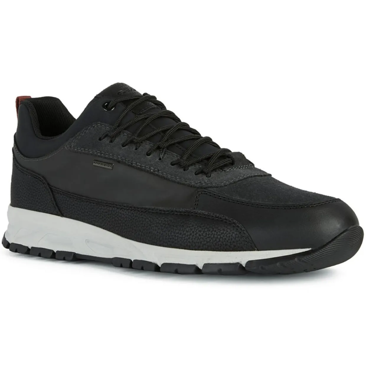 Homme Geox Baskets^Baskets Doray noir/anthracite