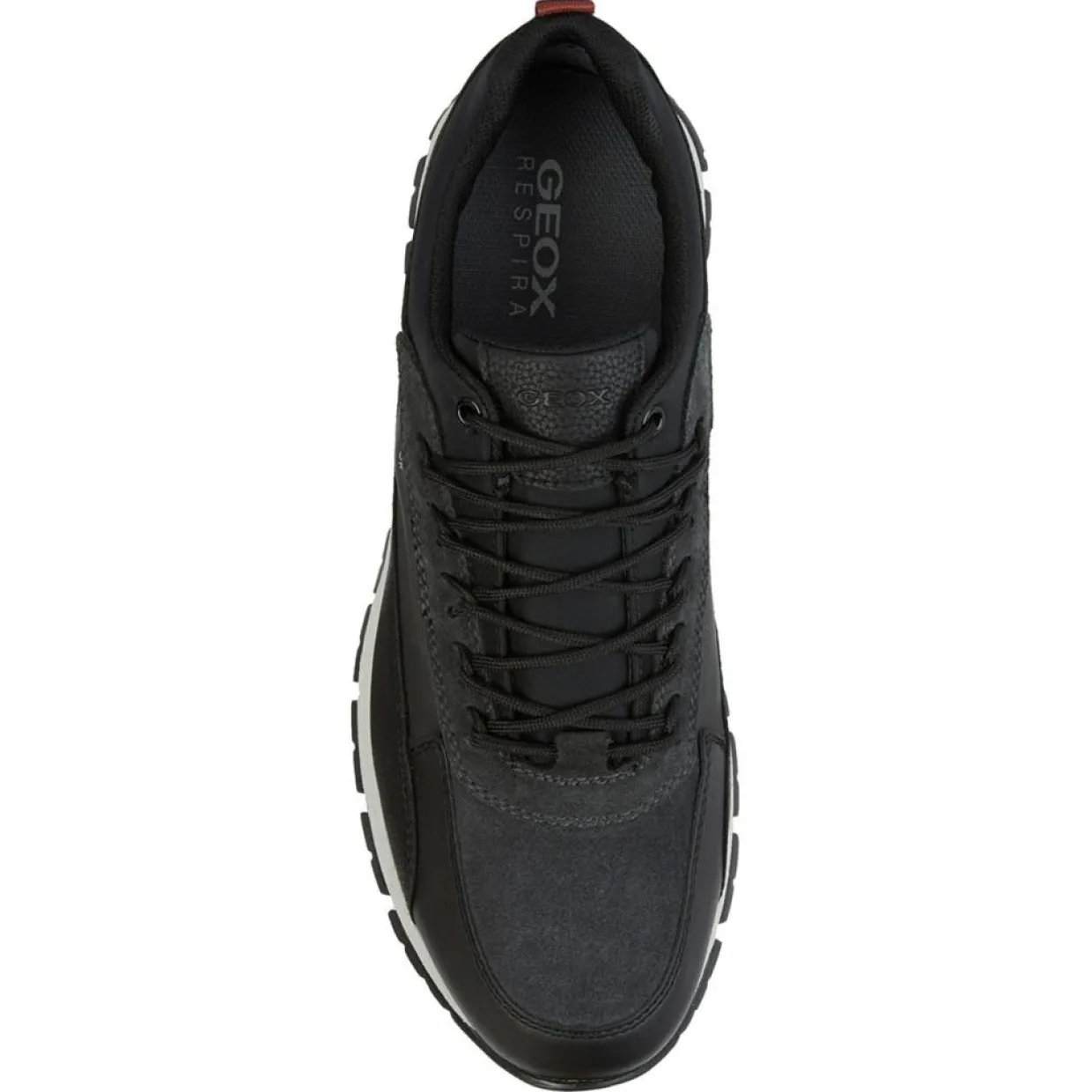 Homme Geox Baskets^Baskets Doray noir/anthracite