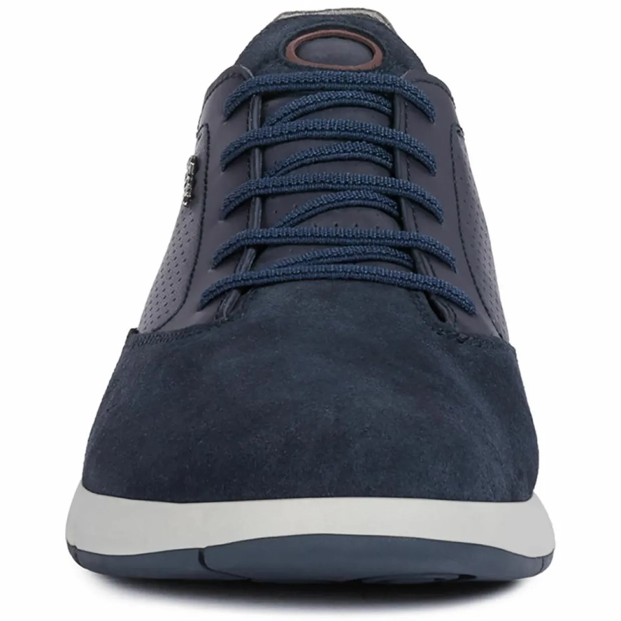 Baskets en Cuir Aerantis bleu marine-Geox Clearance