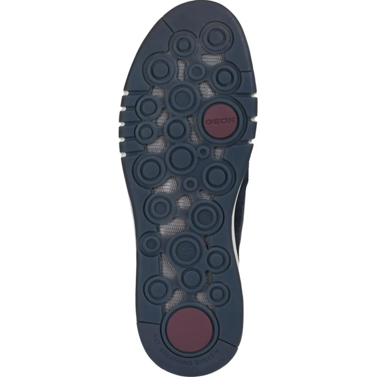 Baskets en Cuir Aerantis bleu marine-Geox Clearance