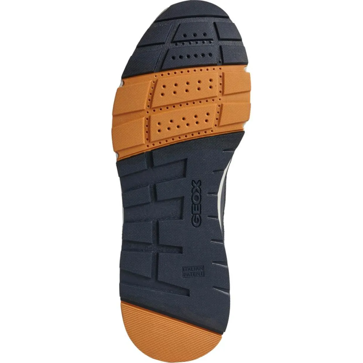 Homme Geox Baskets^Baskets en Cuir Dolomia bleu marine