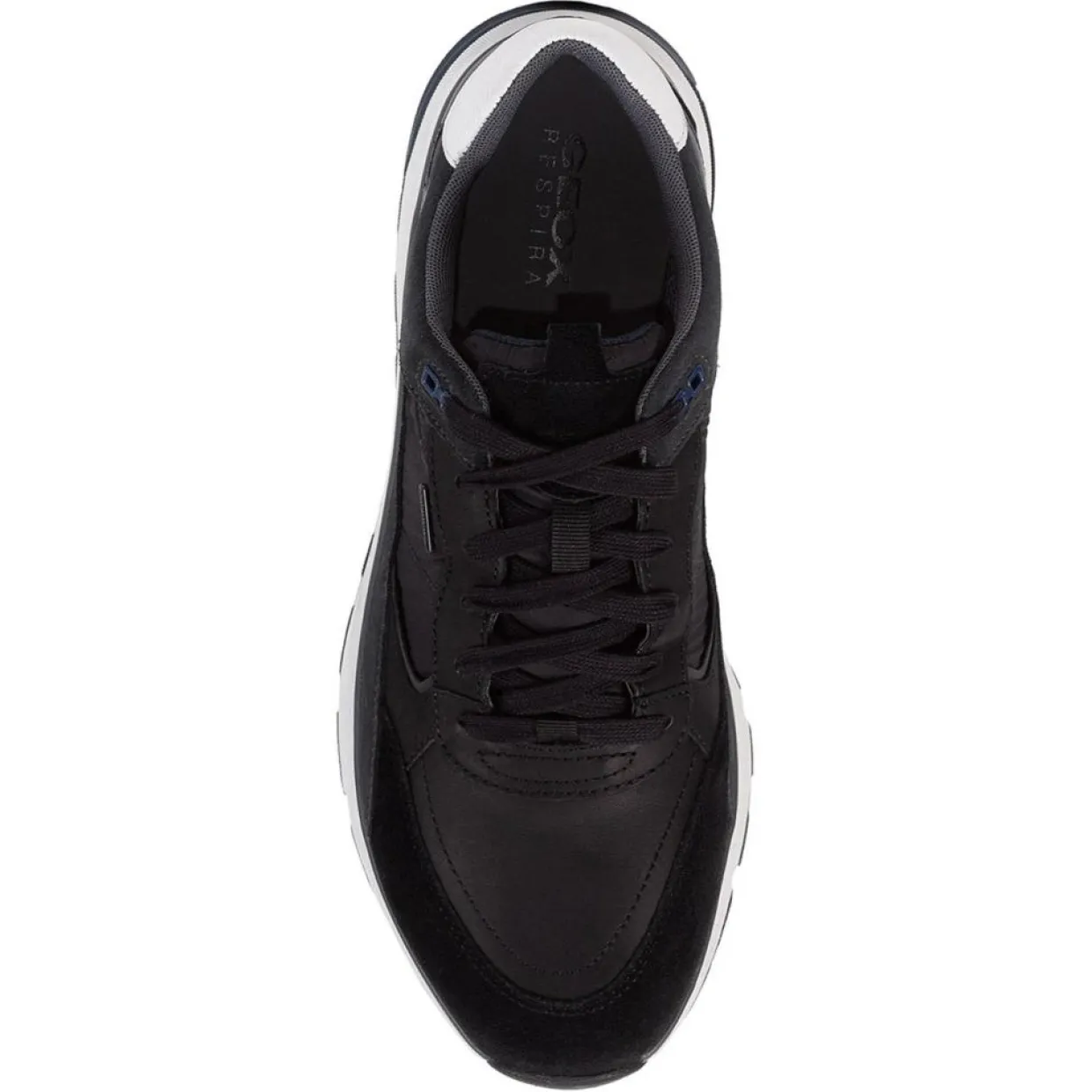 Homme Geox Baskets^Baskets en Cuir Dolomia noires