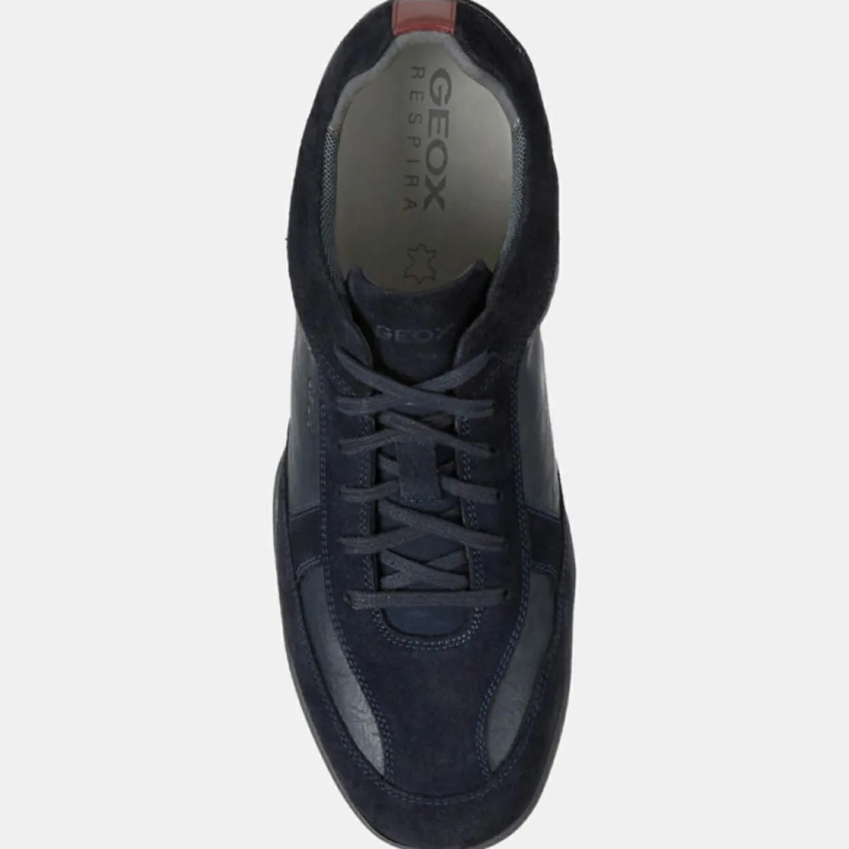 Homme Geox Baskets^Baskets en Cuir et Velours de Cuir Metodo bleu marine