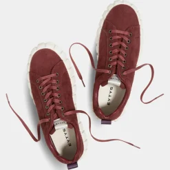 Femme Eytys Baskets^Baskets en Velours de Cuir Odessa bordeaux