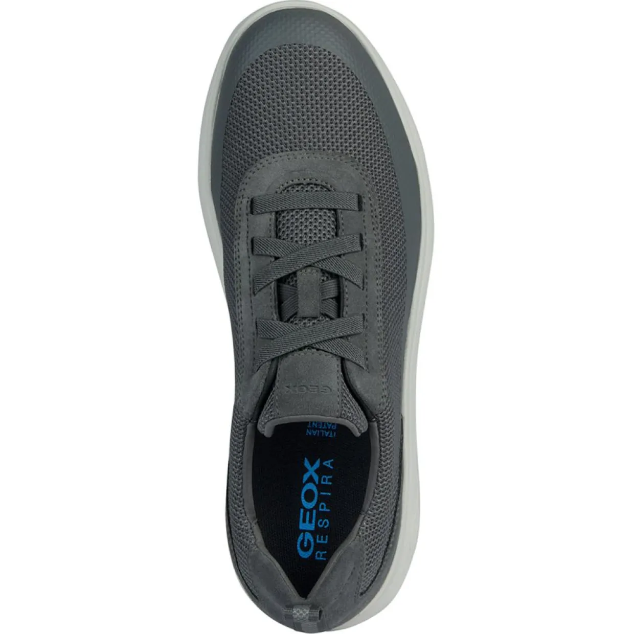 Homme Geox Baskets^Baskets Spherica pierre foncé