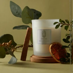 Sentier Bougies^Bougie Sancturaire Botanique - 150 g