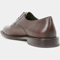 Homme Geox Derbies^Derbies en Cuir Premium Artenova marron foncé