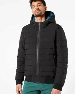 Homme Dockers Manteaux^Doudoune Hooded Puffer noire
