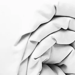 Drap Housse blanc-Home Collection