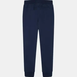 Homme Hackett London Pantalons^Jogging Slim Fit uni Sport bleu marine