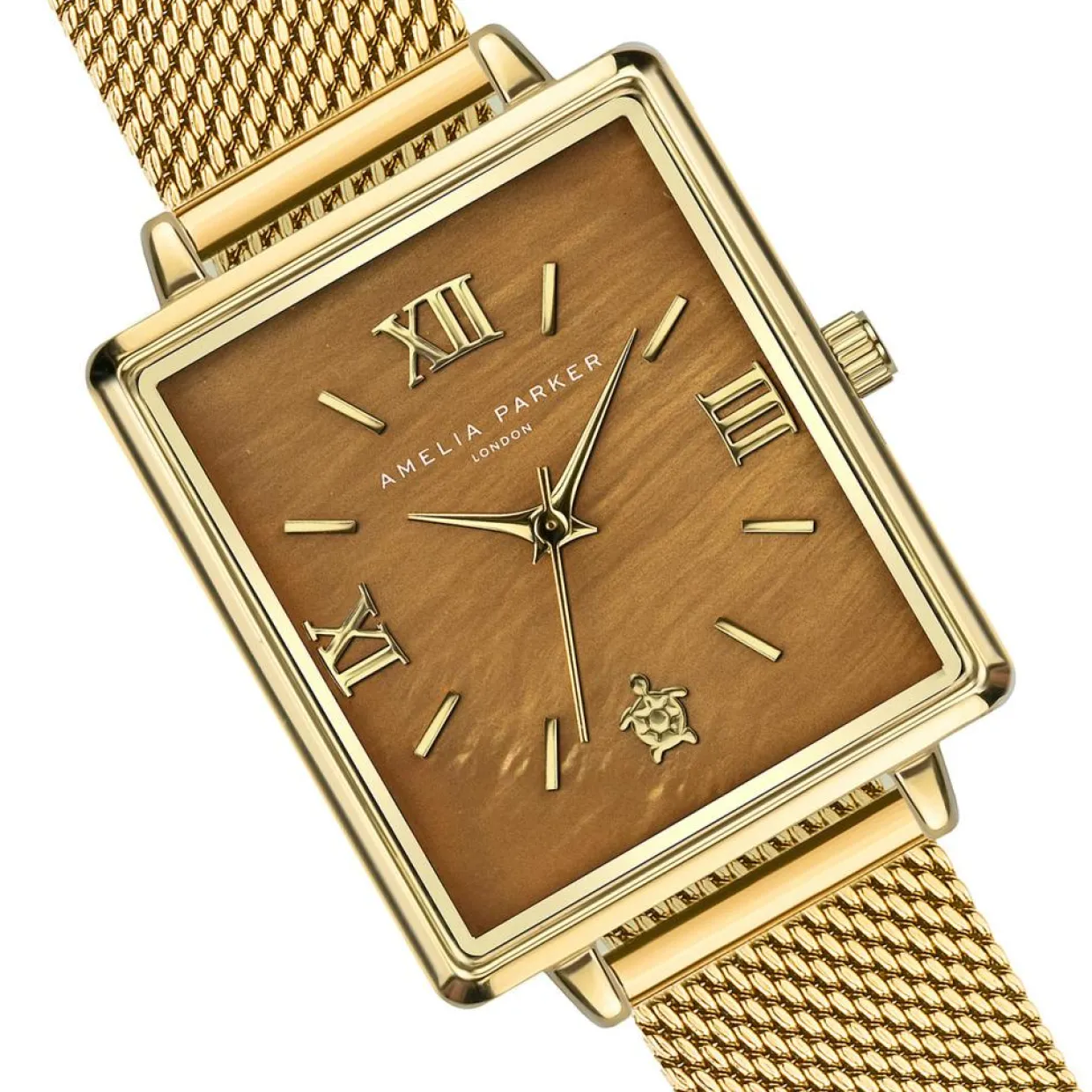 Montre Femme Boracay en Acier dorée-Amelia Parker