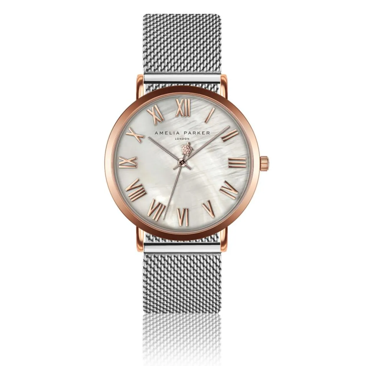Montre Femme Classique en Acier argentée-Amelia Parker Discount