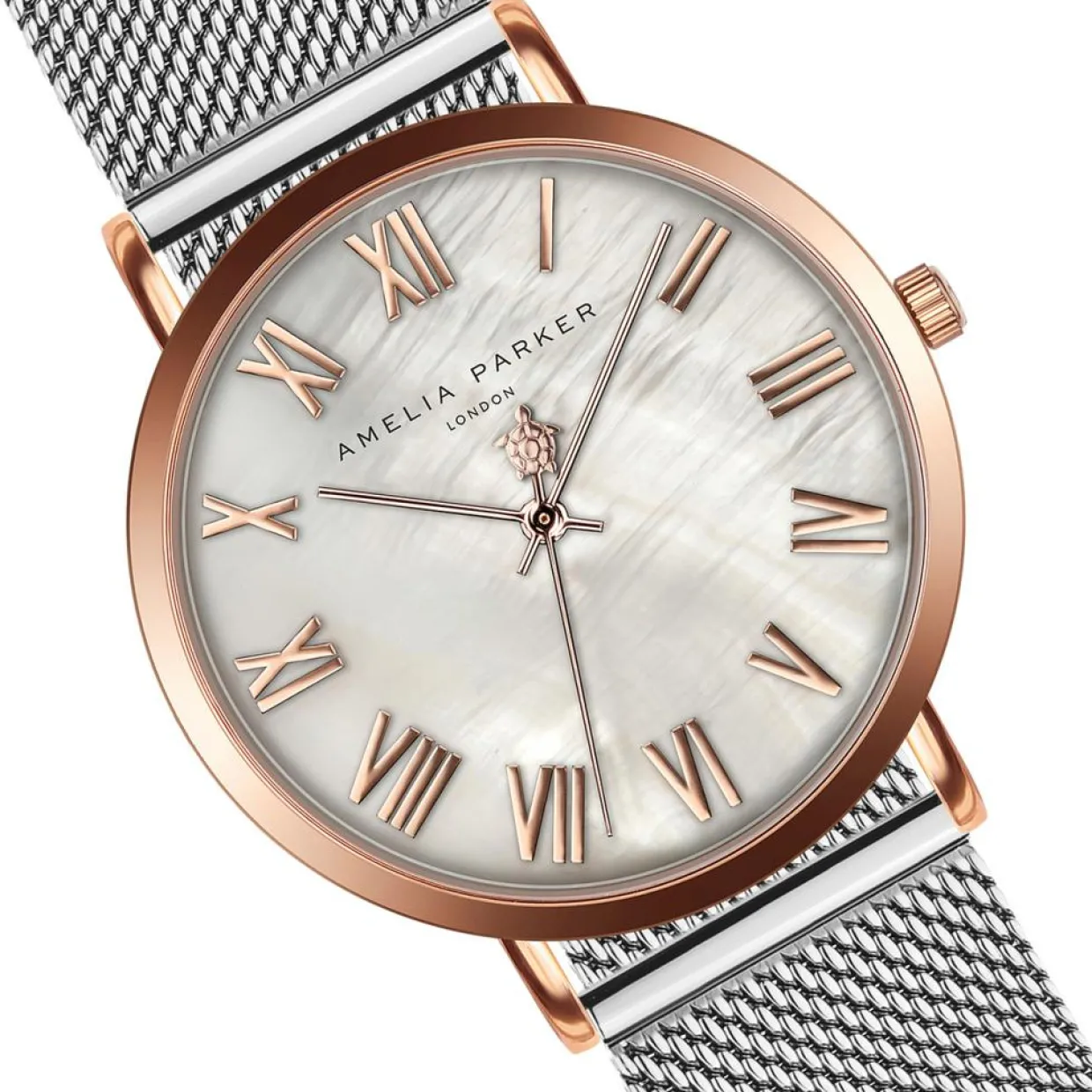Montre Femme Classique en Acier argentée-Amelia Parker Discount