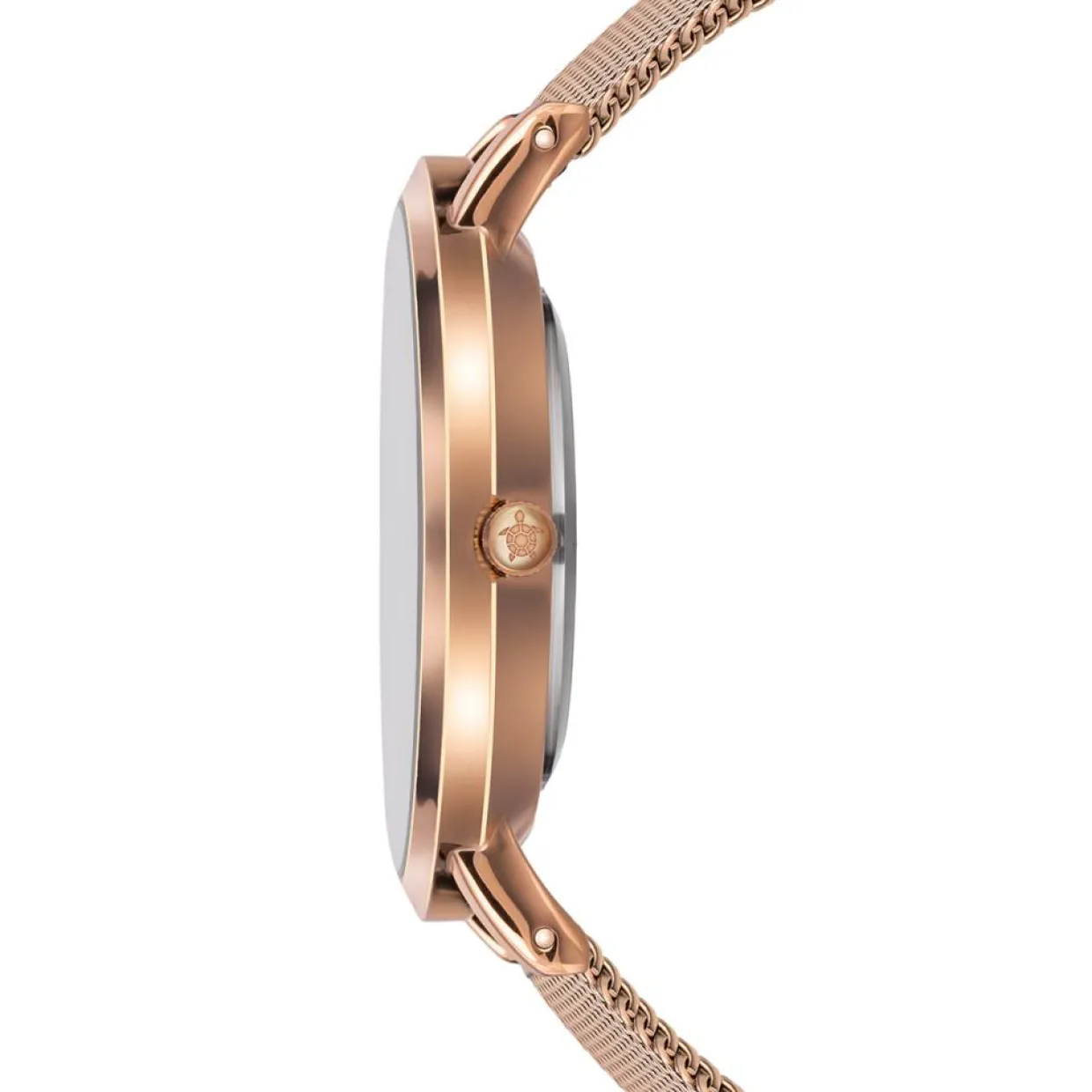 Femme Amelia Parker Montres^Montre Femme en Acier Classique rose doré