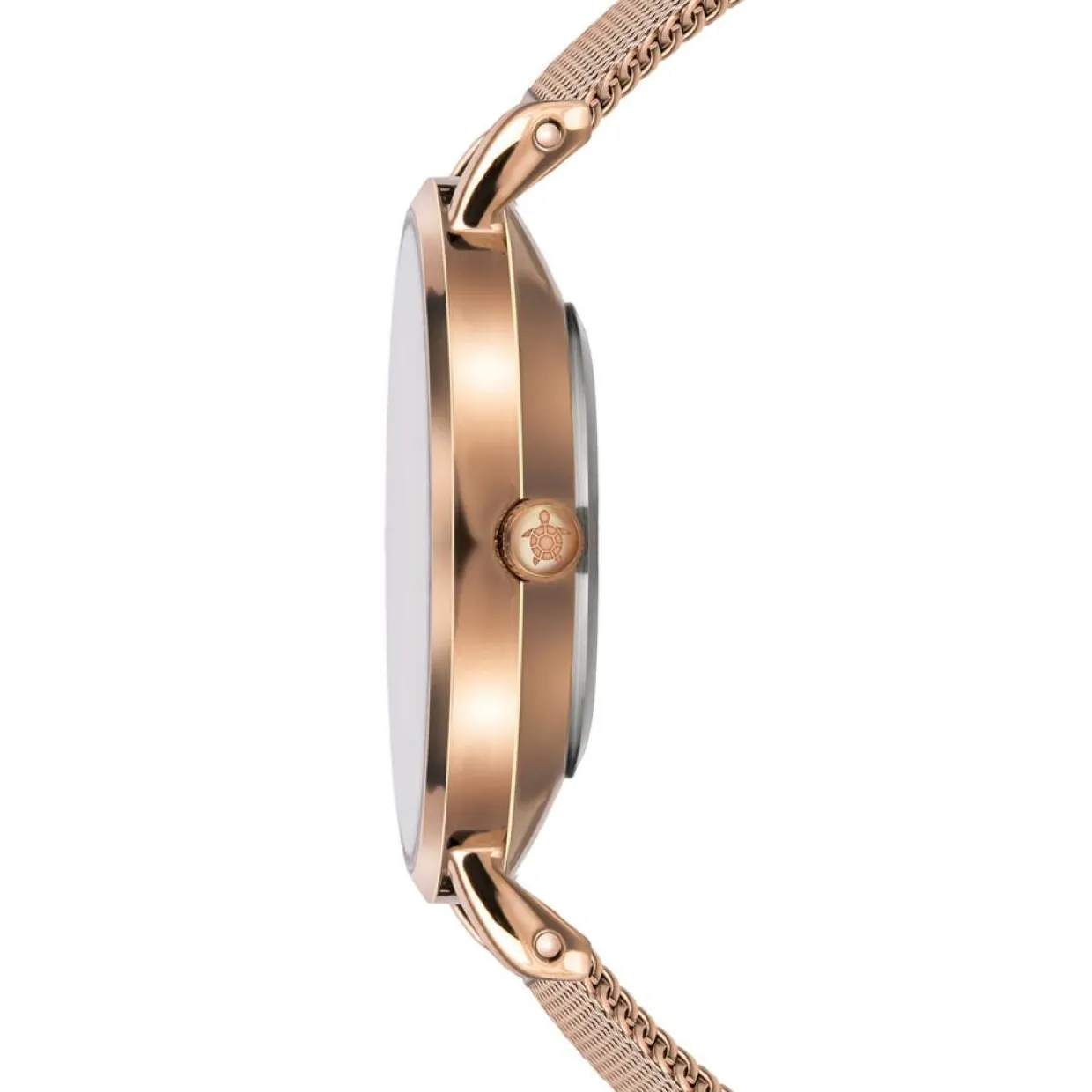 Femme Amelia Parker Montres^Montre Femme en Acier Petite rose doré