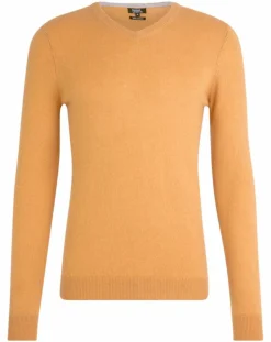Homme Galeries Lafayette Pulls^Pull 100% Cachemire Avy col V beige