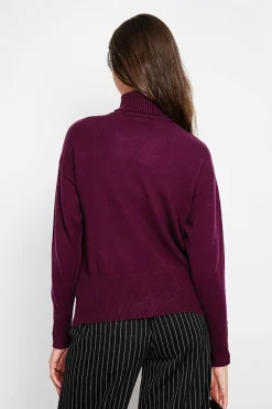 Femme Assuili Sweats^Pull col roulé bordeaux