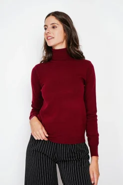 Pull col roulé classique bordeaux-Assuili Discount
