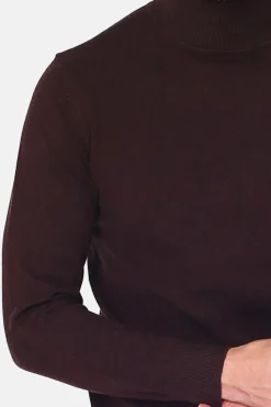 Homme C&Jo Pulls^Pull en Cachemire mélangé col roulé café