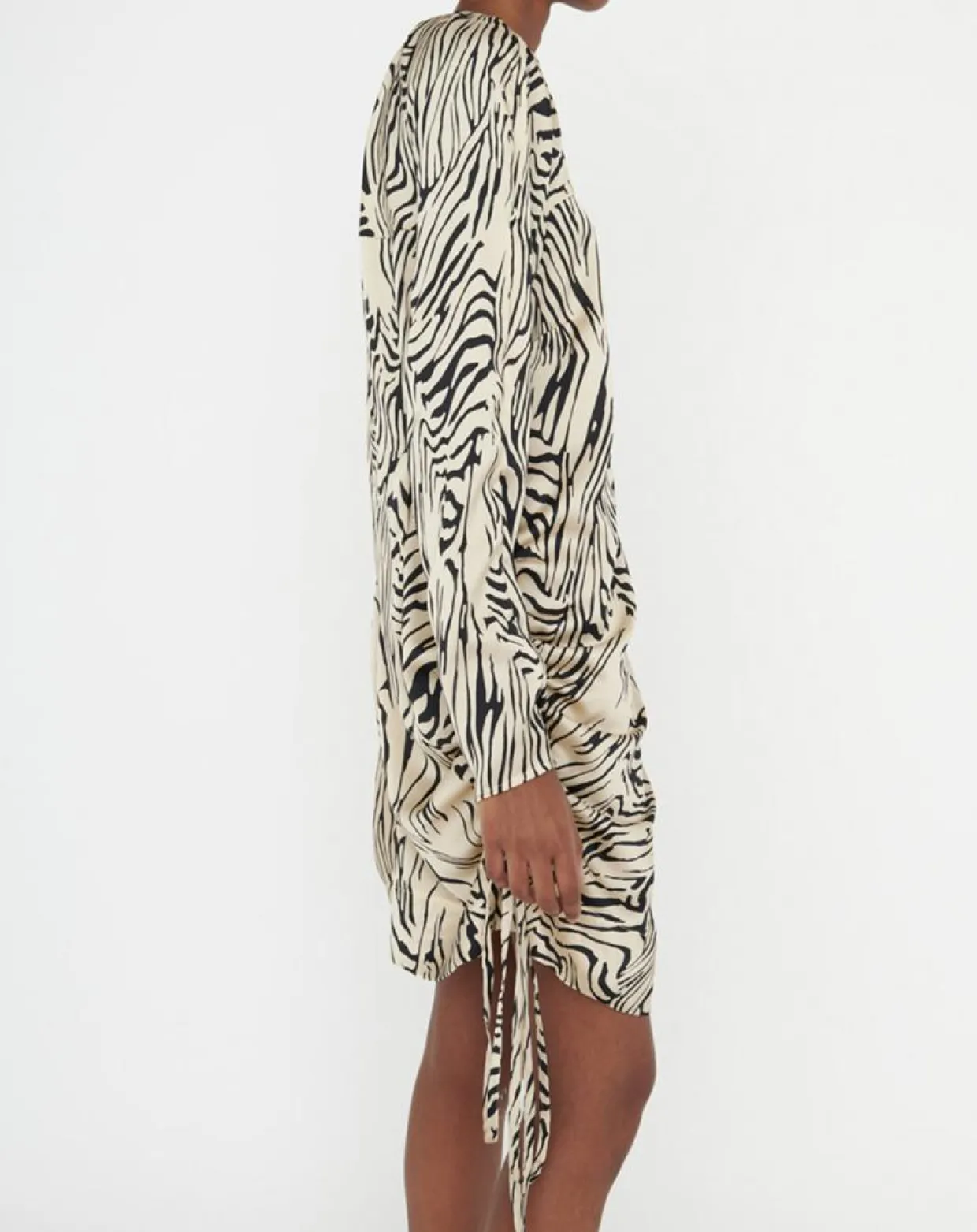 Femme Zapa Robes^Robe Robert imprimée zèbre noir/beige