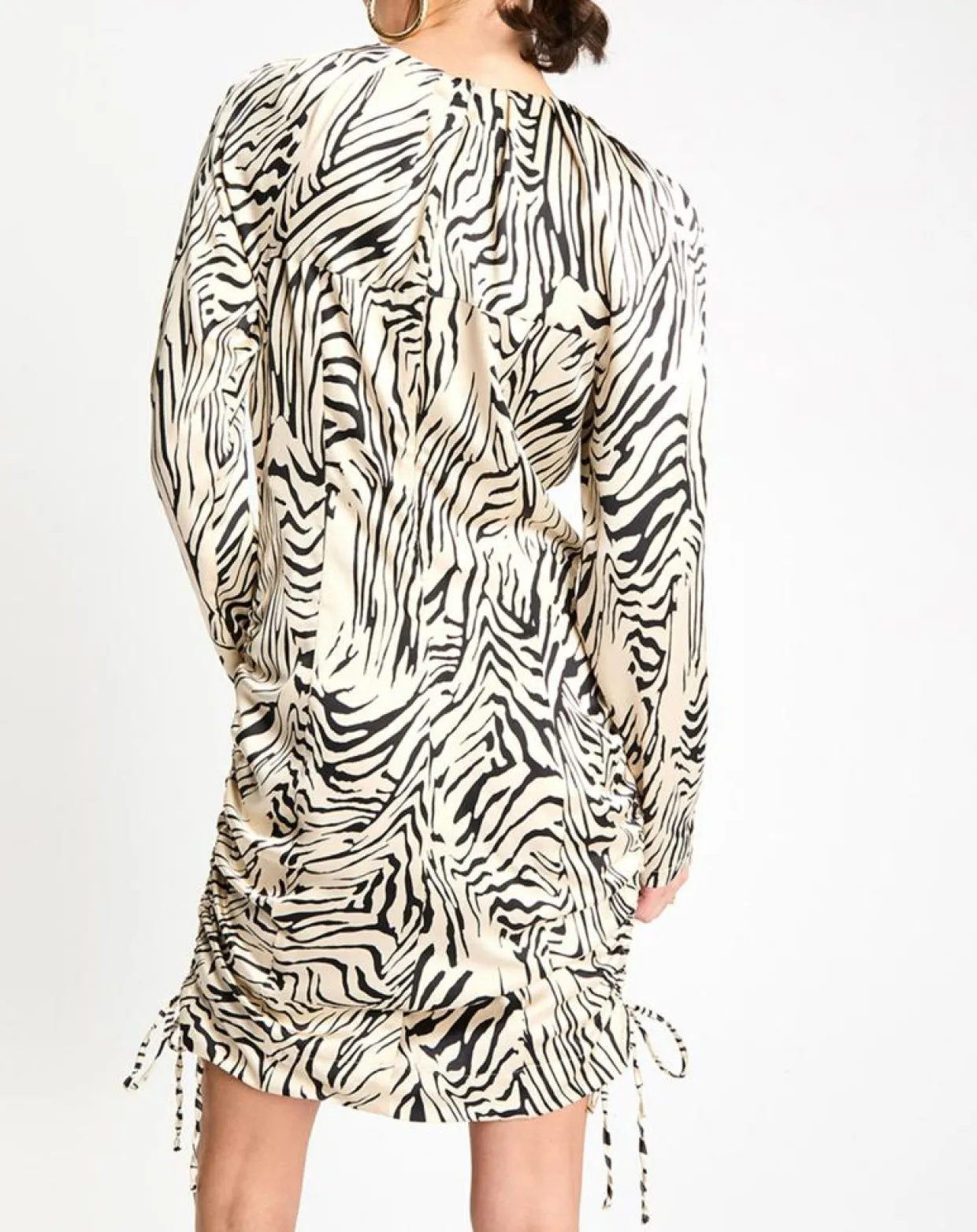 Femme Zapa Robes^Robe Robert imprimée zèbre noir/beige