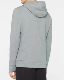 Homme Hackett London Sweats^Sweat à capuche Aston Martin Racing gris