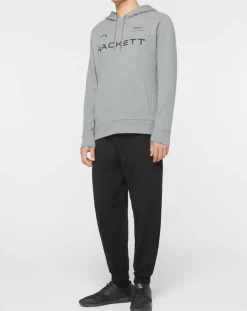 Homme Hackett London Sweats^Sweat à capuche Aston Martin Racing gris