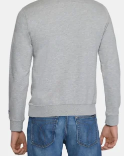 Homme Replay Pulls^Sweat Feutre gris clair