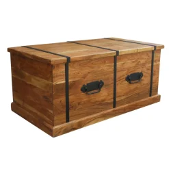 Bois & Chiffons Tables^Table basse coffre rectangulaire en acacia massif Marron - 100x55x45 cm