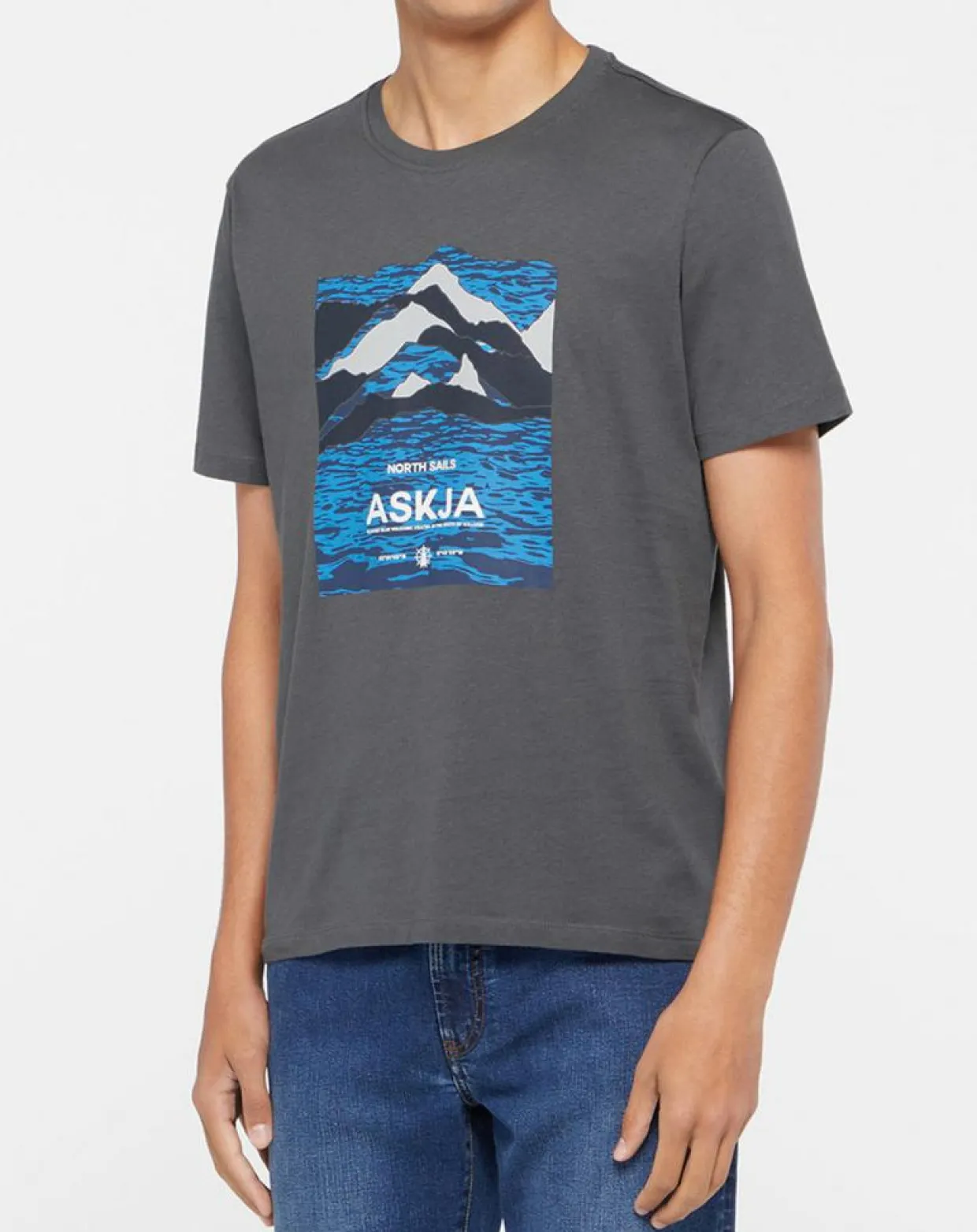 T-Shirt 100% Coton Bio Graphic gris-North Sails Online