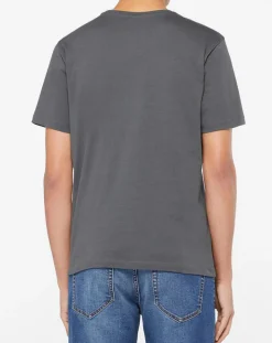 T-Shirt 100% Coton Bio Graphic gris-North Sails Online