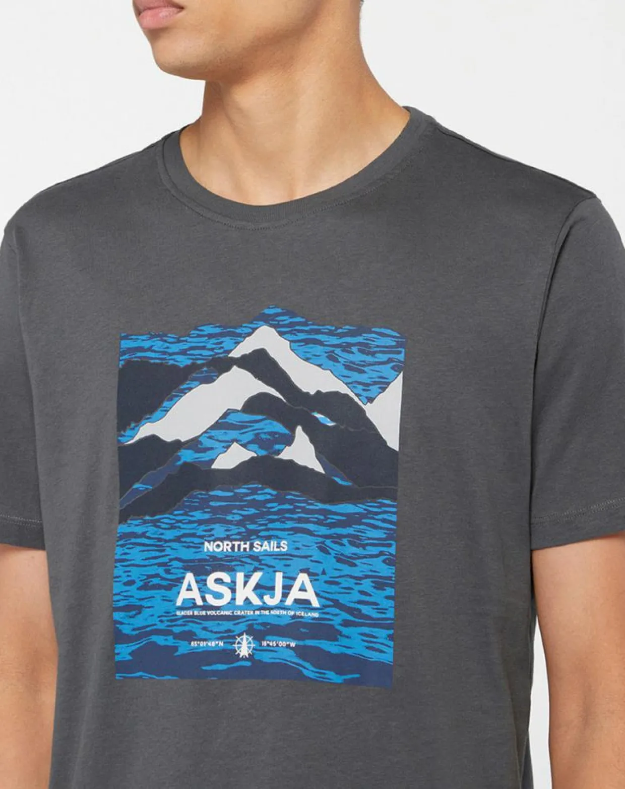 T-Shirt 100% Coton Bio Graphic gris-North Sails Online