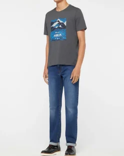 T-Shirt 100% Coton Bio Graphic gris-North Sails Online