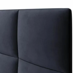 Mazzini Sofas Têtes De Lit^Tête de lit en Velours Begonia bleu foncé - 200x120 cm